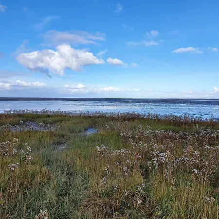 An Der Nordsee - Familienfreundlich, Gut Ausgestattet & Viel Platz בוטיאדינגן