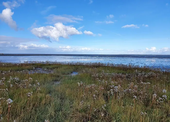 An Der Nordsee - Familienfreundlich, Gut Ausgestattet&viel Platz Butjadingen